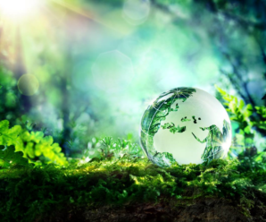 КП «КИЇВТЕПЛОЕНЕРГО» приєднується до екологічної акції «Година Землі 2019»