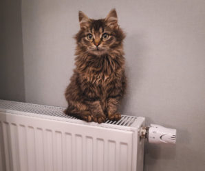 Завершення опалювального сезону змушені перенести через погодні умови